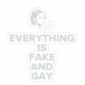 Candace EVERYTHING Is Fake And Gay Car Magnets, Sticker