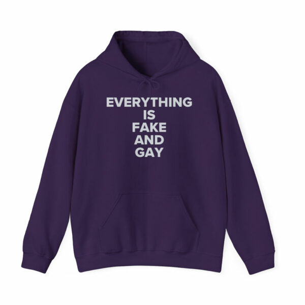 Candace EVERYTHING Is Fake And Gay Hoodie