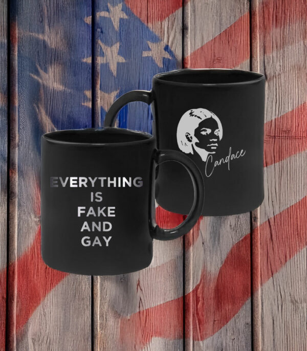 EVERYTHING Is Fake And Gay Mug